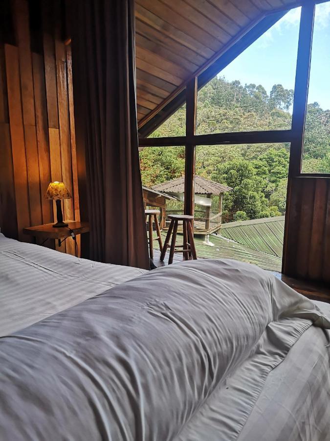 Alive Eco Hut 3*