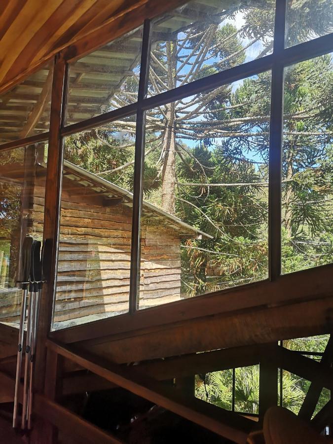 Alive Eco Hut 3* Monte Verde (Minas Gerais)