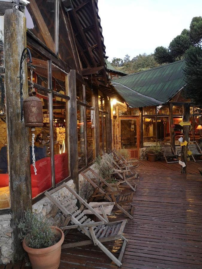 Alive Eco Hut 3*
