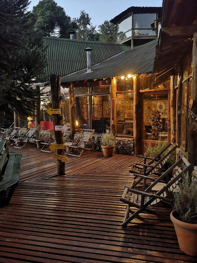 Alive Eco Hut