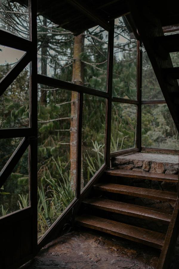 賓館 Alive Eco Hut